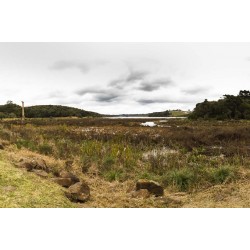 Governo decreta situação de emergência hídrica em todo o Paraná